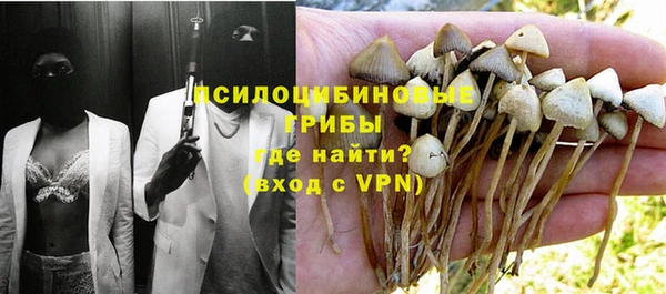 стафф Алексин
