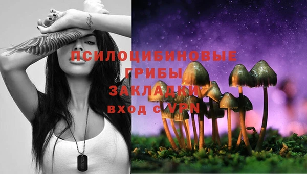 стафф Алексин