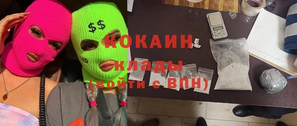 сатива Алзамай