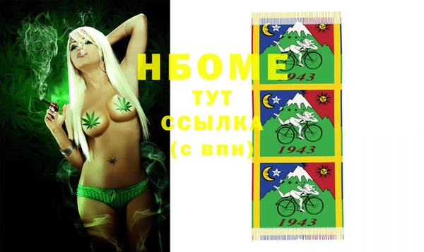 стафф Алексин